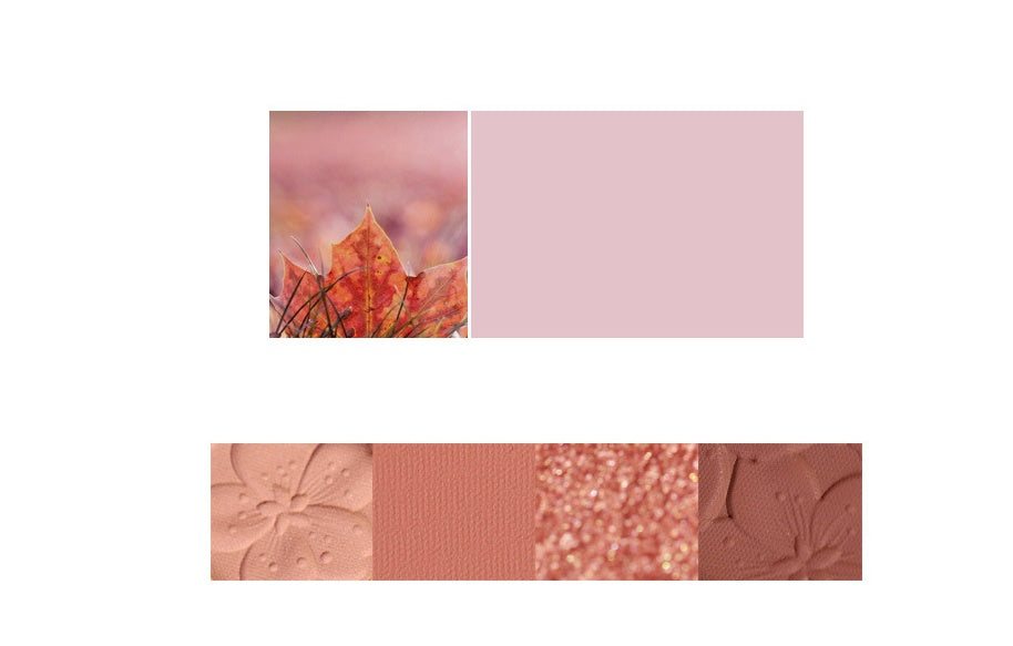 4-color eyeshadow palette with natural blendable shades for daily use