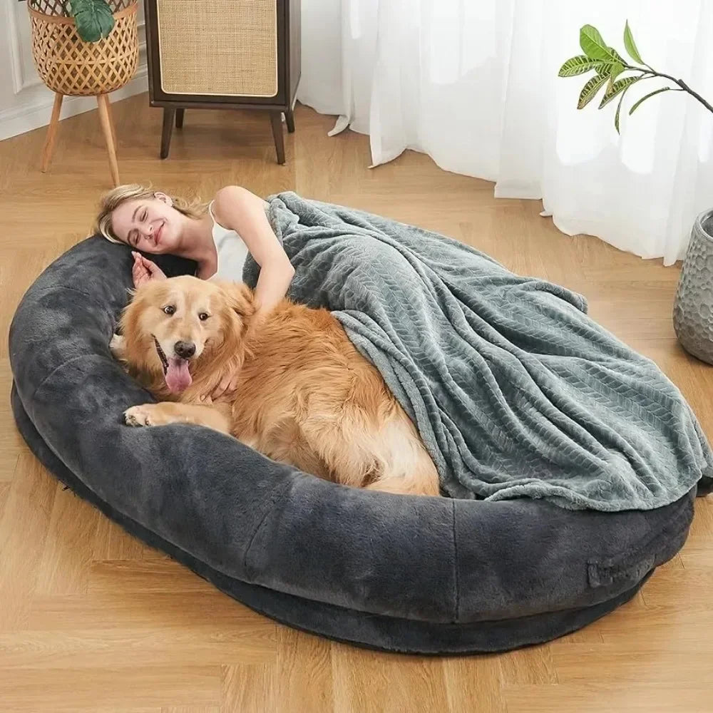 Human-Sized Dog Bed