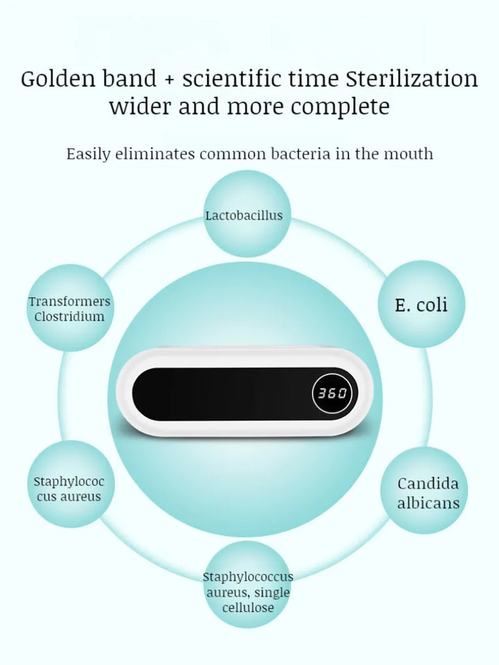 Household nopunch wallmounted toothbrush sanitizer UV disinfectant toothbrush holder sanitizer